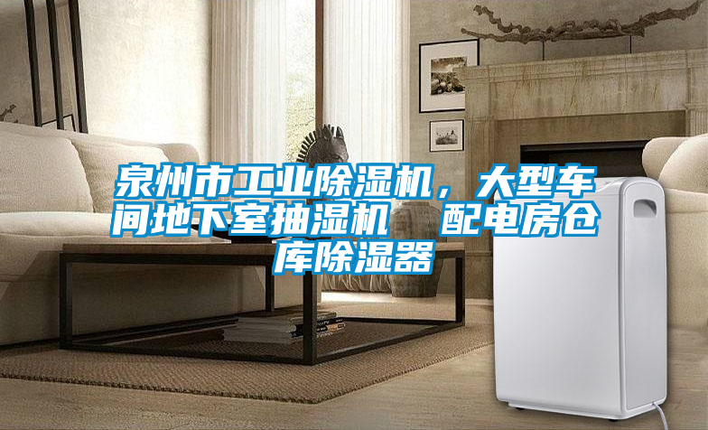 泉州市工業(yè)除濕機(jī)，大型車間地下室抽濕機(jī)  配電房倉庫除濕器