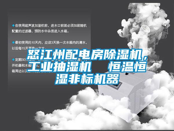怒江州配電房除濕機，工業(yè)抽濕機  恒溫恒濕非標機器