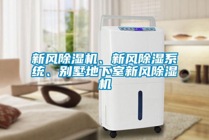 新風(fēng)除濕機(jī)、新風(fēng)除濕系統(tǒng)、別墅地下室新風(fēng)除濕機(jī)