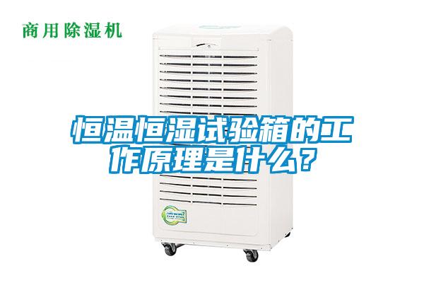 恒溫恒濕試驗(yàn)箱的工作原理是什么？