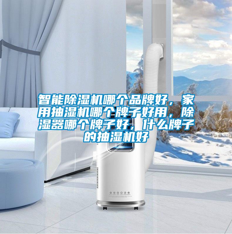 智能除濕機(jī)哪個(gè)品牌好，家用抽濕機(jī)哪個(gè)牌子好用，除濕器哪個(gè)牌子好，什么牌子的抽濕機(jī)好