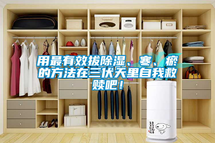 用最有效拔除濕、寒、瘀的方法在三伏天里自我救贖吧！