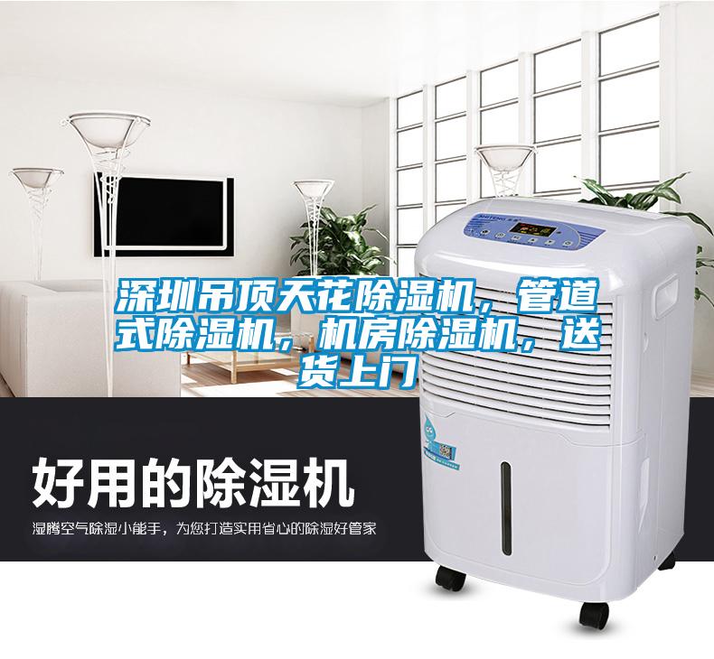 深圳吊頂天花除濕機(jī)，管道式除濕機(jī)，機(jī)房除濕機(jī)，送貨上門
