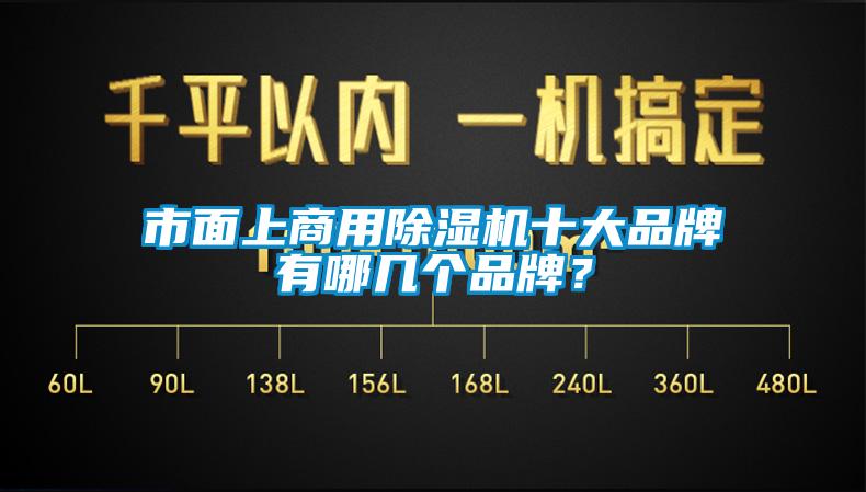 市面上商用除濕機(jī)十大品牌有哪幾個(gè)品牌？