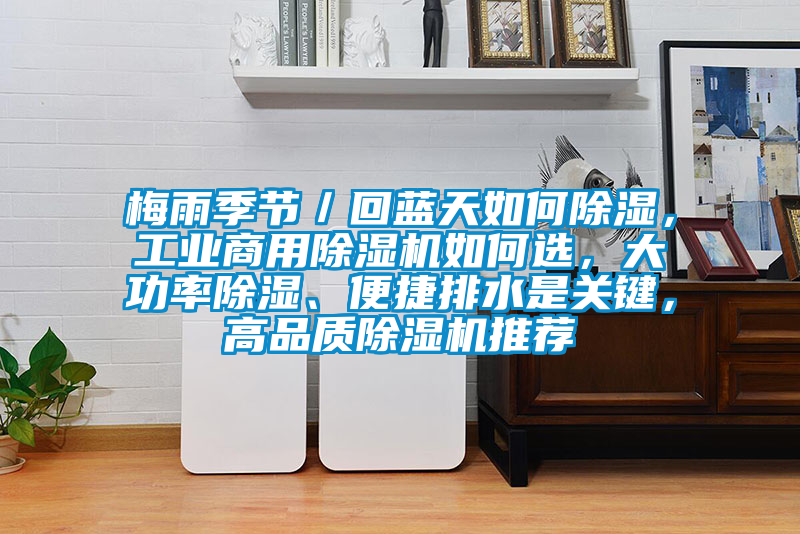 梅雨季節(jié)／回藍(lán)天如何除濕，工業(yè)商用除濕機如何選，大功率除濕、便捷排水是關(guān)鍵，高品質(zhì)除濕機推薦
