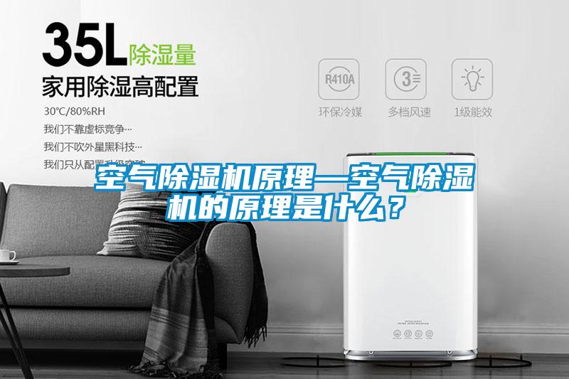空氣除濕機(jī)原理—空氣除濕機(jī)的原理是什么？
