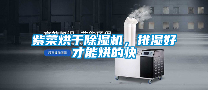 紫菜烘干除濕機，排濕好才能烘的快