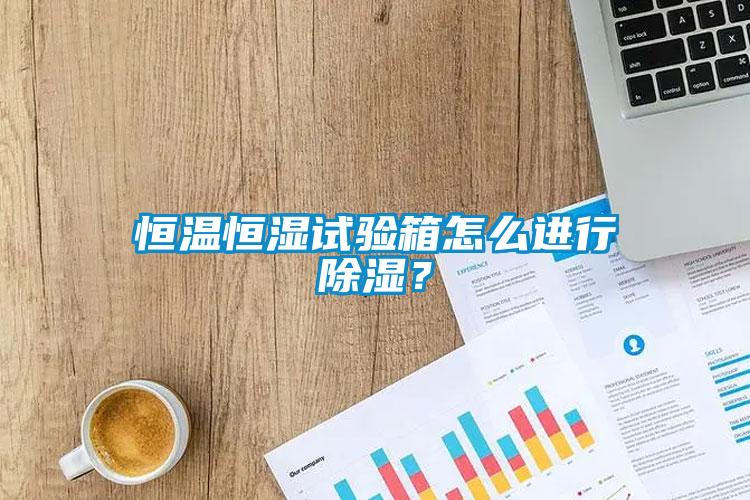 恒溫恒濕試驗(yàn)箱怎么進(jìn)行除濕？