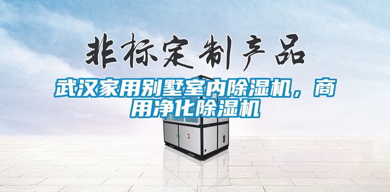 武漢家用別墅室內除濕機，商用凈化除濕機