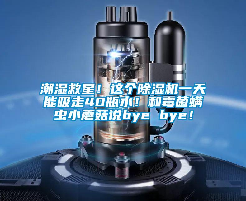 潮濕救星！這個(gè)除濕機(jī)一天能吸走40瓶水！和霉菌螨蟲小蘑菇說bye bye！