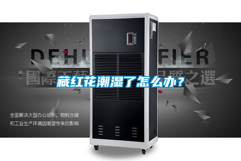 藏紅花潮濕了怎么辦？