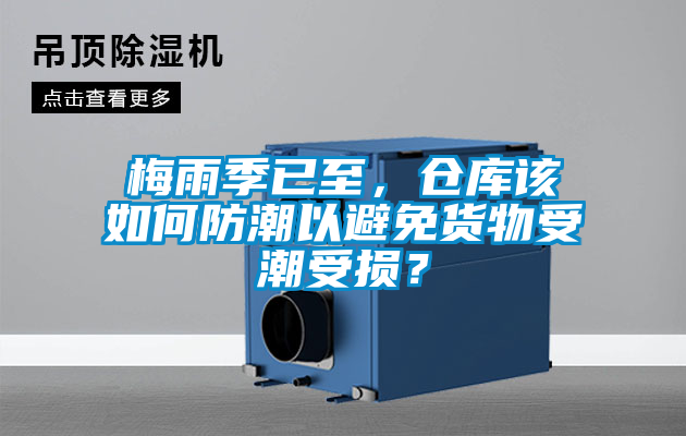 梅雨季已至，倉(cāng)庫(kù)該如何防潮以避免貨物受潮受損？