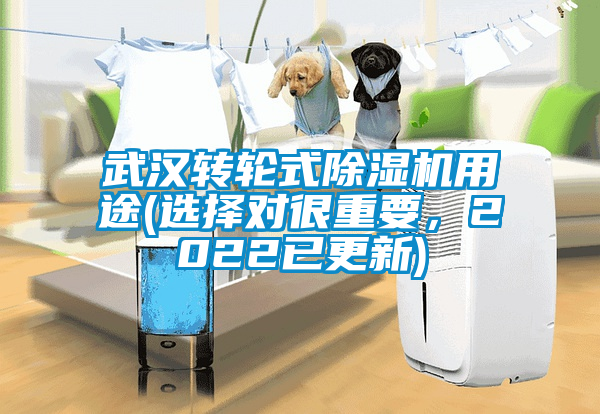 武漢轉(zhuǎn)輪式除濕機(jī)用途(選擇對(duì)很重要，2022已更新)