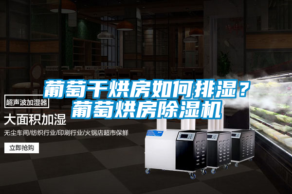 葡萄干烘房如何排濕？葡萄烘房除濕機(jī)