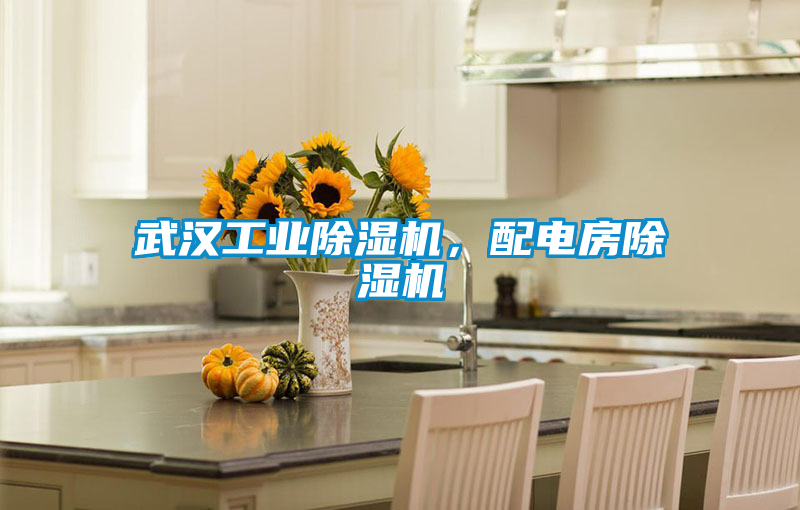 武漢工業(yè)除濕機，配電房除濕機