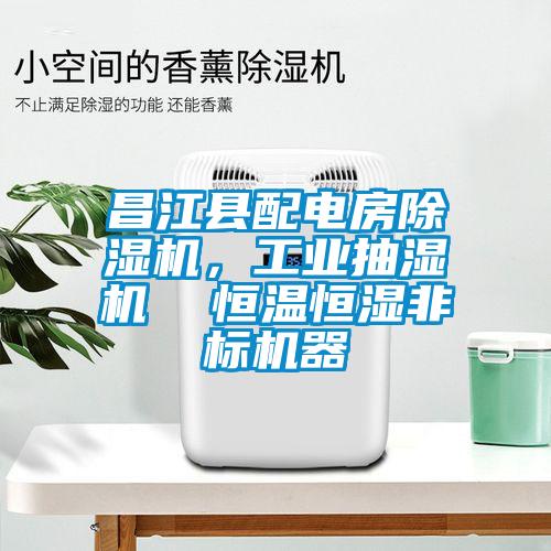昌江縣配電房除濕機，工業(yè)抽濕機  恒溫恒濕非標機器