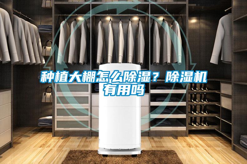種植大棚怎么除濕？除濕機有用嗎