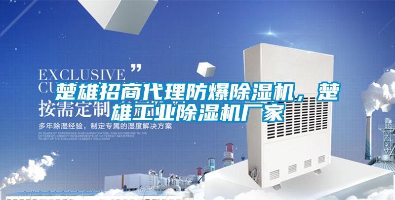 楚雄招商代理防爆除濕機(jī)，楚雄工業(yè)除濕機(jī)廠家