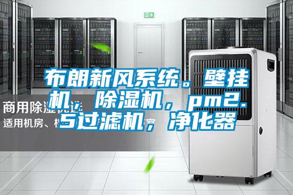 布朗新風(fēng)系統(tǒng)。壁掛機(jī)，除濕機(jī)，pm2.5過(guò)濾機(jī)，凈化器