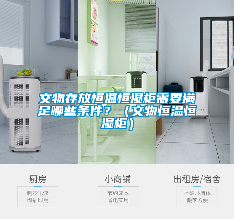 文物存放恒溫恒濕柜需要滿足哪些條件？（文物恒溫恒濕柜）