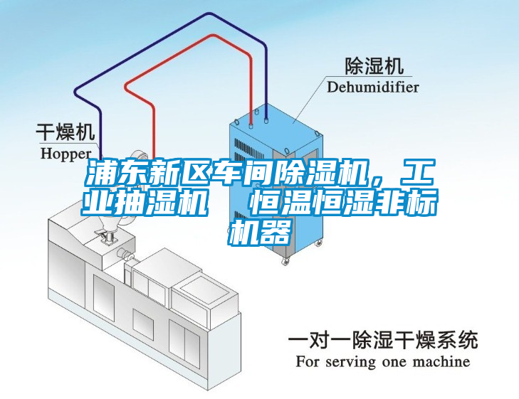 浦東新區(qū)車間除濕機，工業(yè)抽濕機  恒溫恒濕非標機器