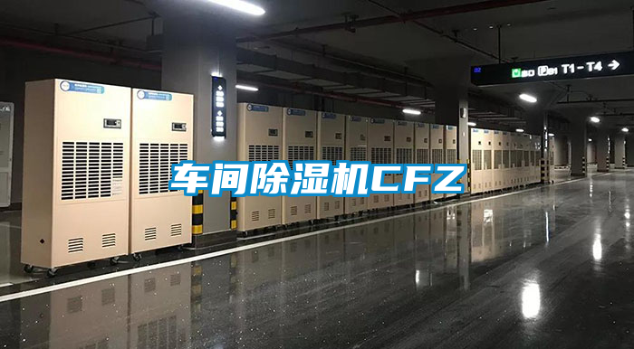 車(chē)間除濕機(jī)CFZ