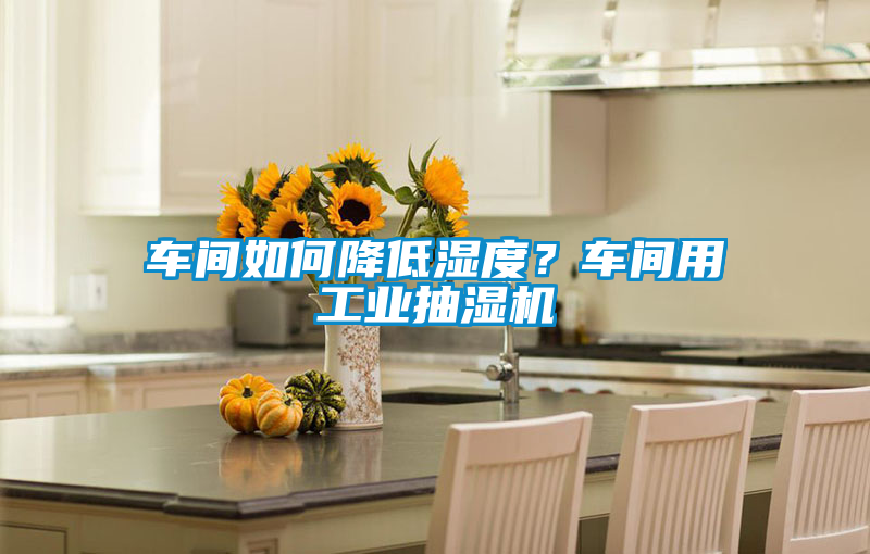 車間如何降低濕度？車間用工業(yè)抽濕機(jī)