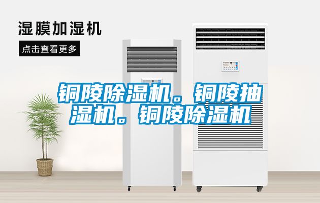 銅陵除濕機。銅陵抽濕機。銅陵除濕機