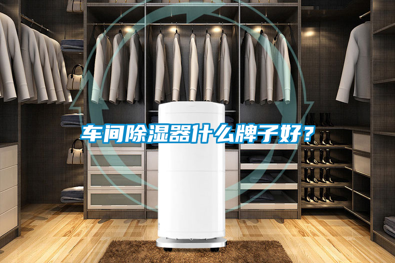 車(chē)間除濕器什么牌子好？
