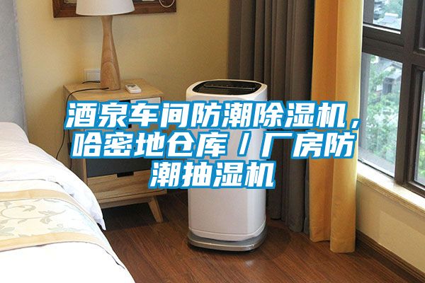 酒泉車間防潮除濕機(jī)，哈密地倉庫／廠房防潮抽濕機(jī)