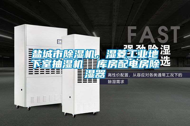 鹽城市除濕機(jī)，濕菱工業(yè)地下室抽濕機(jī)  庫(kù)房配電房除濕器