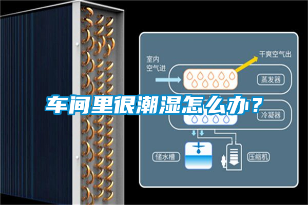 車間里很潮濕怎么辦？