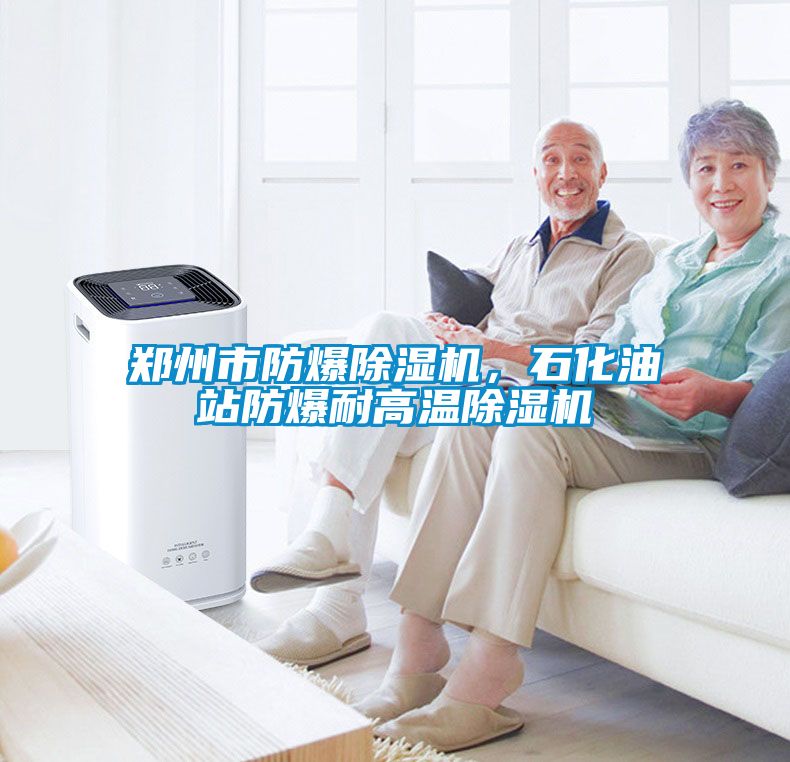 鄭州市防爆除濕機(jī)，石化油站防爆耐高溫除濕機(jī)