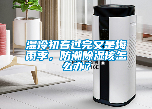 濕冷初春過完又是梅雨季，防潮除濕該怎么辦？