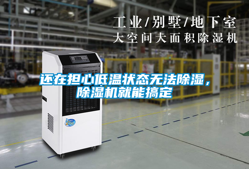 還在擔(dān)心低溫狀態(tài)無法除濕，除濕機(jī)就能搞定