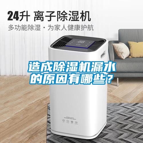 造成除濕機(jī)漏水的原因有哪些？