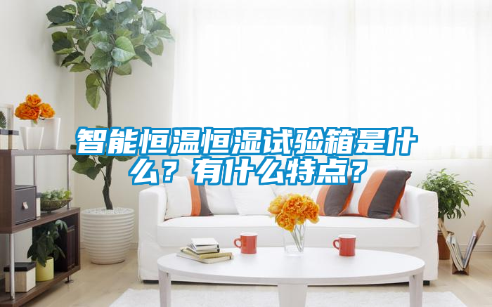 智能恒溫恒濕試驗箱是什么？有什么特點？