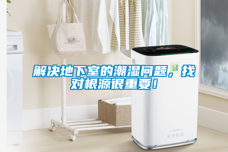 解決地下室的潮濕問題，找對根源很重要！