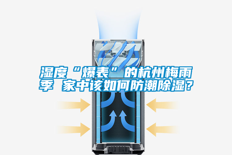 濕度“爆表”的杭州梅雨季 家中該如何防潮除濕？
