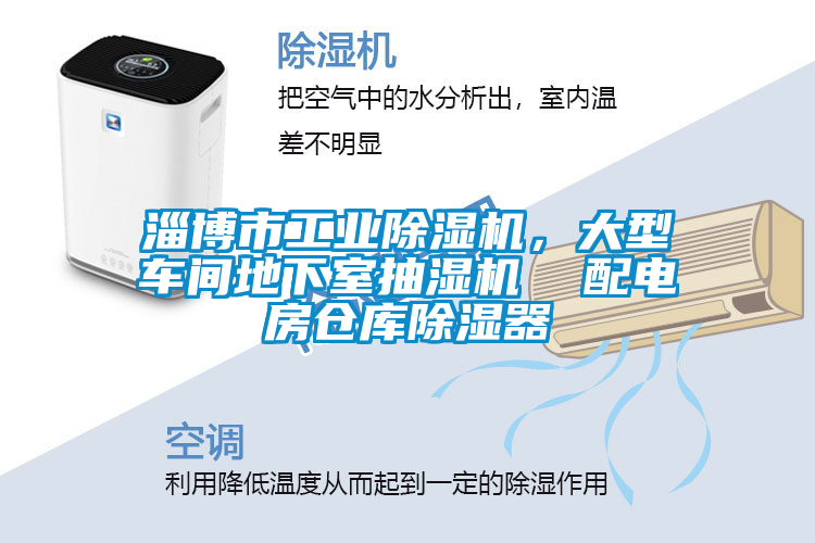 淄博市工業(yè)除濕機(jī)，大型車(chē)間地下室抽濕機(jī)  配電房倉(cāng)庫(kù)除濕器