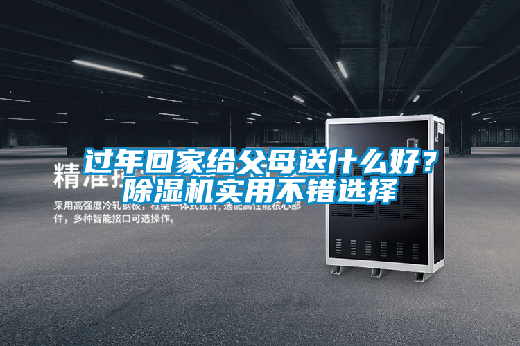 過(guò)年回家給父母送什么好？除濕機(jī)實(shí)用不錯(cuò)選擇
