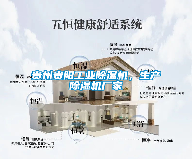 貴州貴陽工業(yè)除濕機(jī)，生產(chǎn)除濕機(jī)廠家