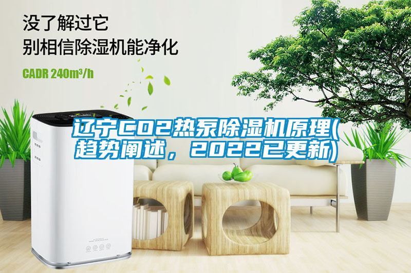 遼寧CO2熱泵除濕機原理(趨勢闡述，2022已更新)