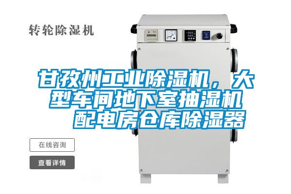 甘孜州工業(yè)除濕機(jī)，大型車間地下室抽濕機(jī)  配電房倉(cāng)庫(kù)除濕器