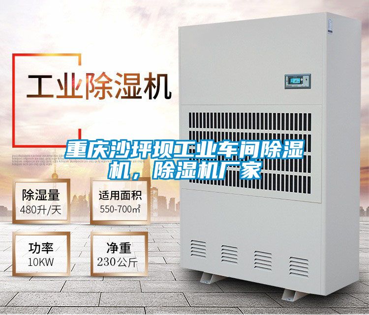 重慶沙坪壩工業(yè)車間除濕機，除濕機廠家