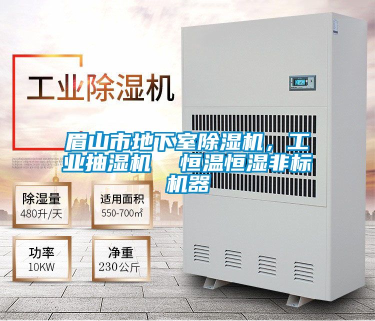 眉山市地下室除濕機，工業(yè)抽濕機  恒溫恒濕非標機器