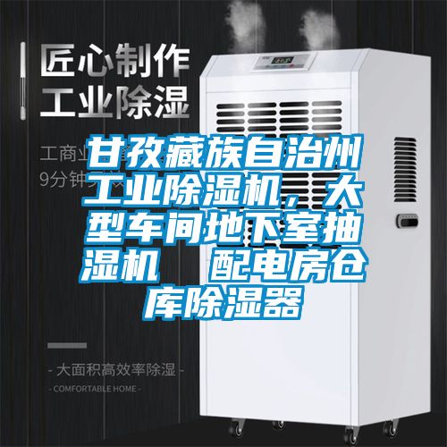 甘孜藏族自治州工業(yè)除濕機(jī)，大型車間地下室抽濕機(jī)  配電房倉(cāng)庫(kù)除濕器