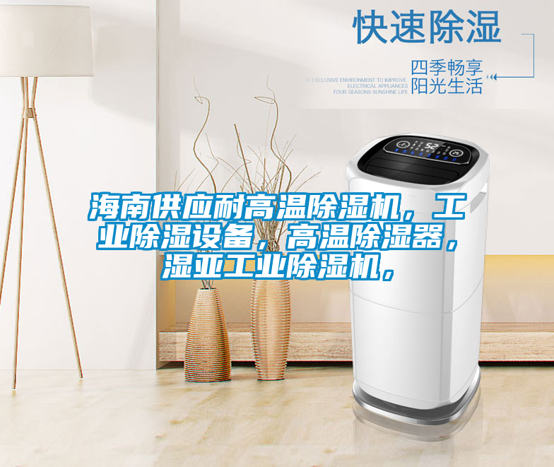 海南供應(yīng)耐高溫除濕機(jī)，工業(yè)除濕設(shè)備，高溫除濕器，濕亞工業(yè)除濕機(jī)，