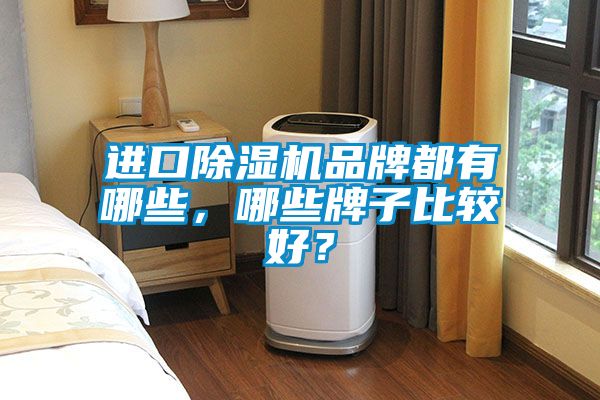 進(jìn)口除濕機(jī)品牌都有哪些，哪些牌子比較好？