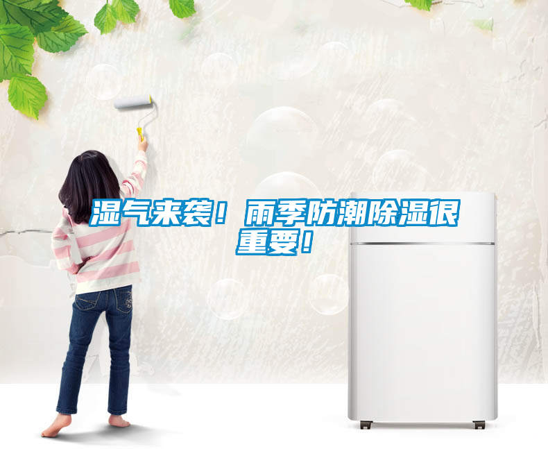 濕氣來襲！雨季防潮除濕很重要！